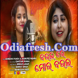 Baula Re Mor Baula (Asheema Panda,Jagruti Mishra) Odia Song